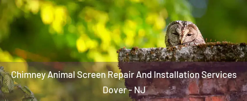 Chimney Animal Screen Repair And Installation Services Dover - NJ
