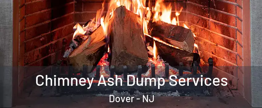  Chimney Ash Dump Services Dover - NJ