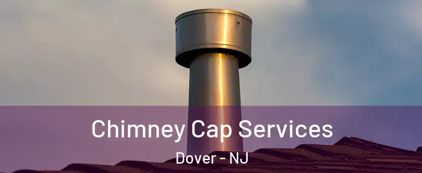  Chimney Cap Services Dover - NJ