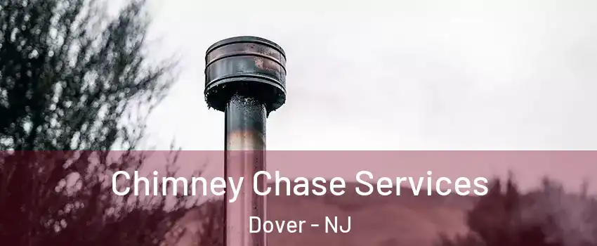  Chimney Chase Services Dover - NJ