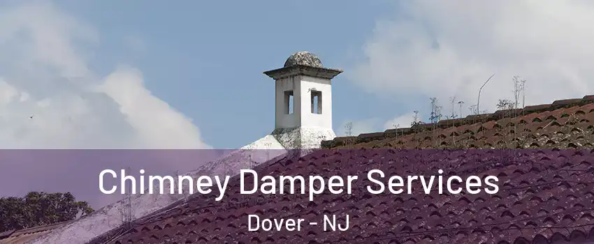  Chimney Damper Services Dover - NJ