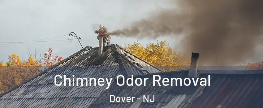  Chimney Odor Removal Dover - NJ