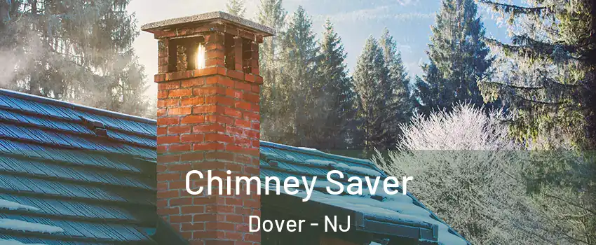 Chimney Saver Dover - NJ