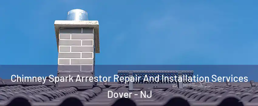  Chimney Spark Arrestor Repair And Installation Services Dover - NJ