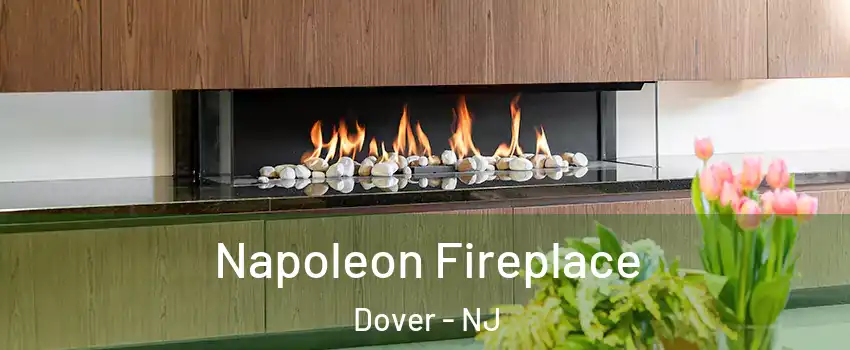  Napoleon Fireplace Dover - NJ